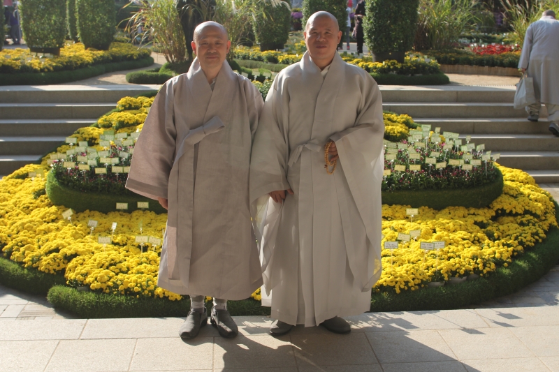 2014.10.10_조계사 국화(사서실) (17)
